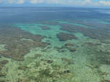 Tropical Reef